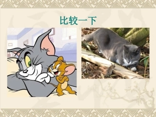 第一课艺术源于生活-高于生活