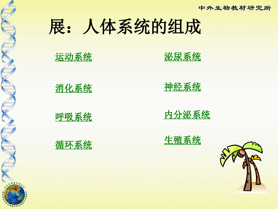 第三节人体概述_第3页