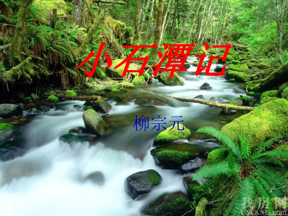 小石潭记课件_第1页