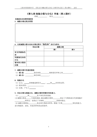 减数分裂的过程