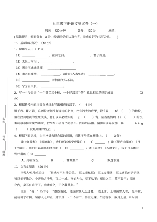 九年级下册语文测试卷剖析