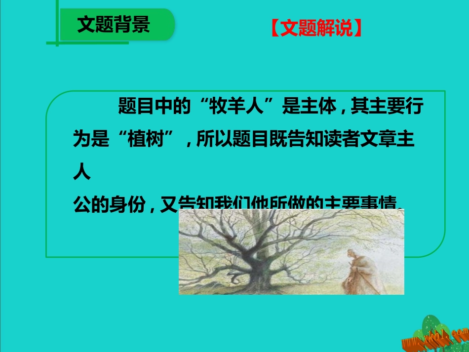 植树的牧羊人_第3页