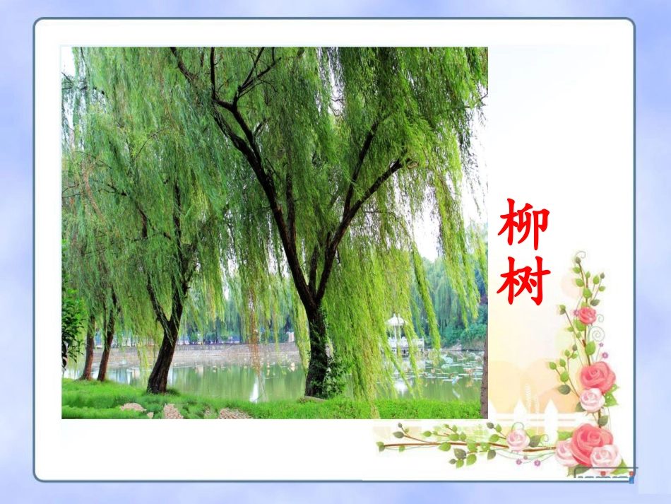 11多姿多彩的植物_第2页