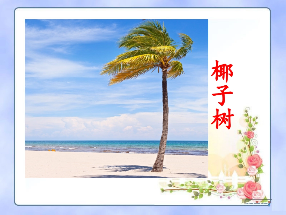 11多姿多彩的植物_第3页