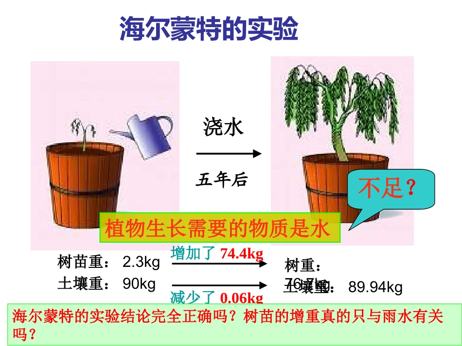 第1节植物的光合作用_第2页