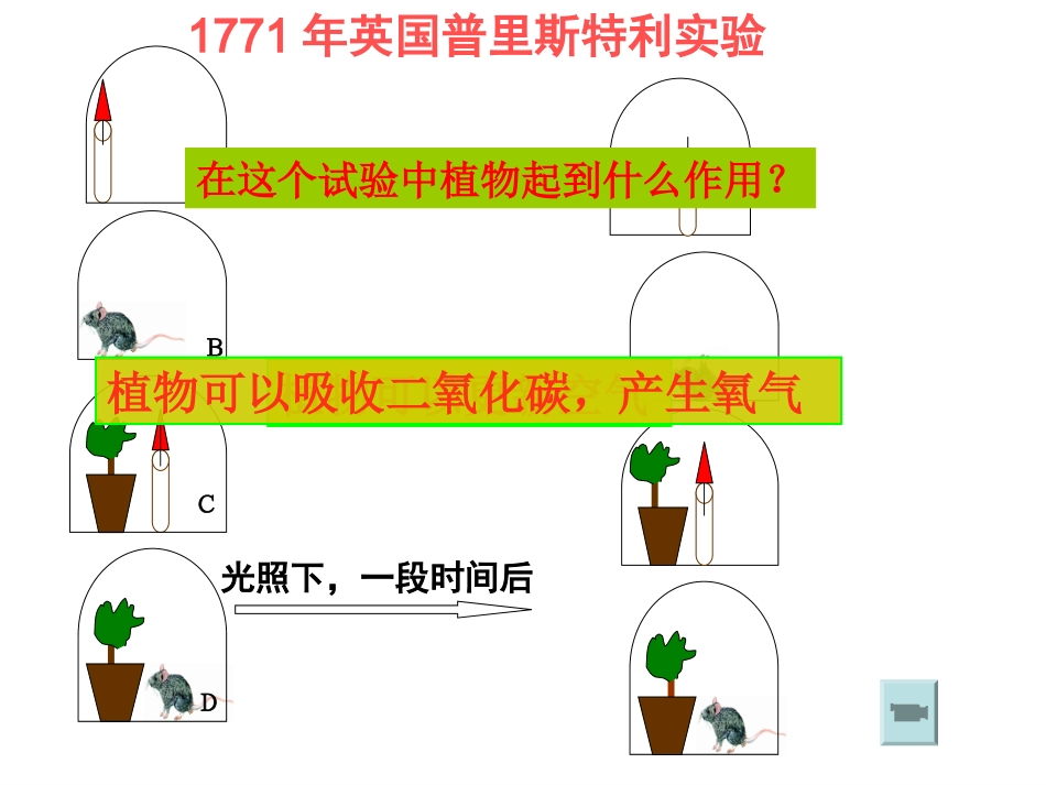 第1节植物的光合作用_第3页