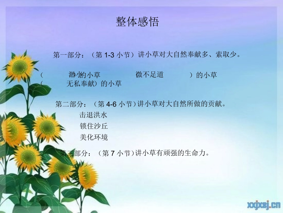 小草之歌课件_第3页
