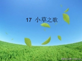 小草之歌课件