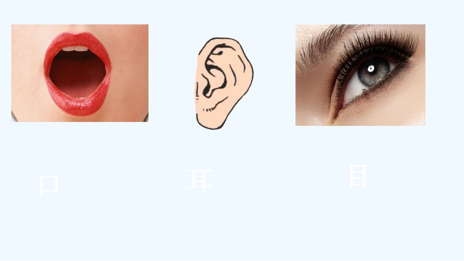 (部编)人教2011课标版一年级上册识字3-口耳目_第2页