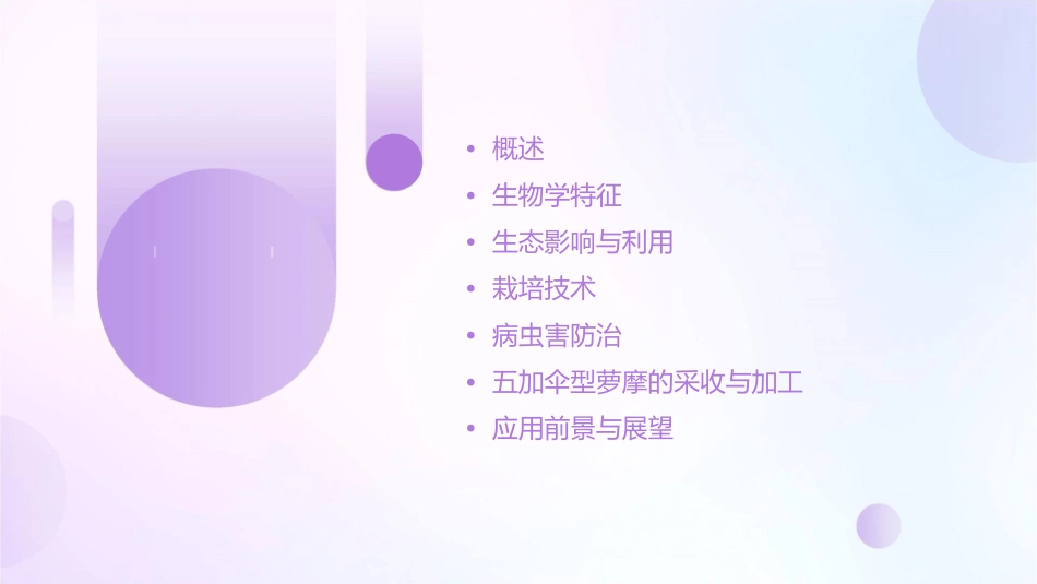 五加伞型萝摩本课件1_第2页