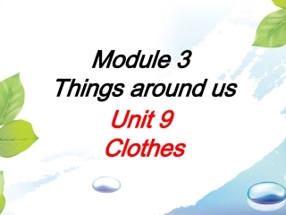 Module-3-Unit-9-Clothes单词演练