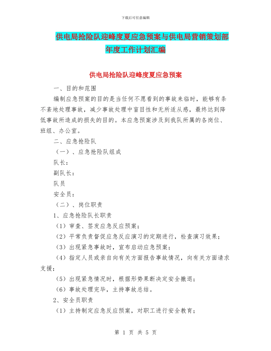 供电局抢险队迎峰度夏应急预案与供电局营销策划部年度工作计划汇编_第1页