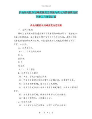 供电局抢险队迎峰度夏应急预案与供电局营销策划部年度工作计划汇编