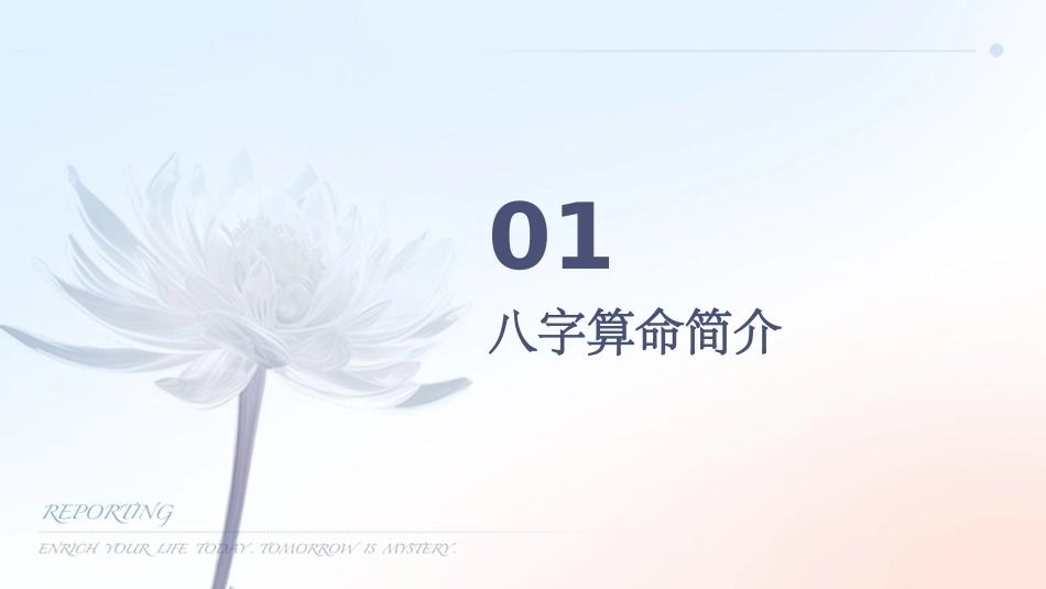 八字算命入门秘笈讲解课件_第3页