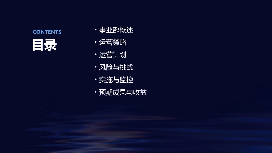 俏丹娜事业部运营方案课件_第2页