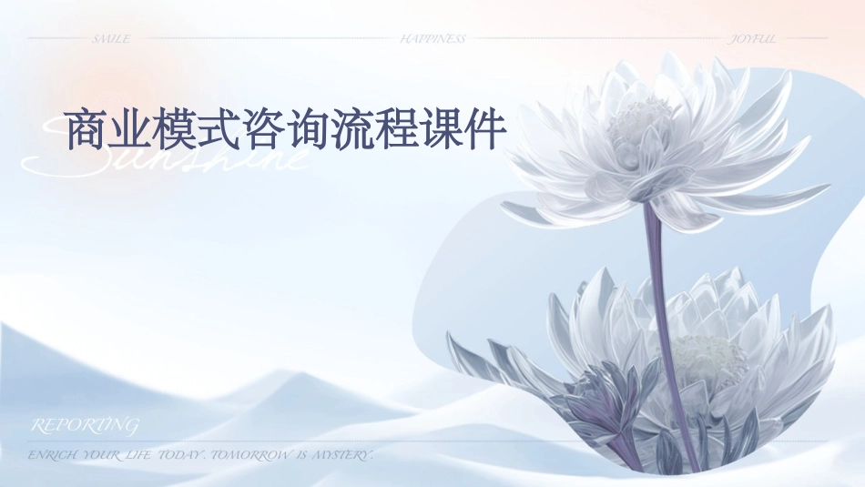 商业模式咨询流程课件_第1页