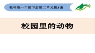 2.校园里的动物