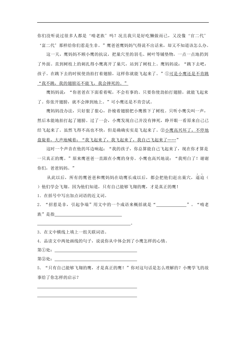 1-小-麻-雀_第3页