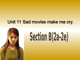 SectionB2a—2e-(4)