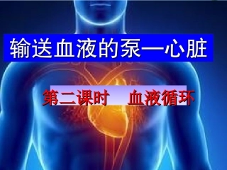 第三节输送血液的泵——心脏-(2)