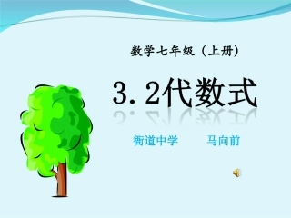 3.2代数式