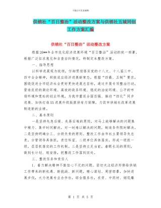 供销社“百日整治”活动整改方案与供销社五城同创工作方案汇编