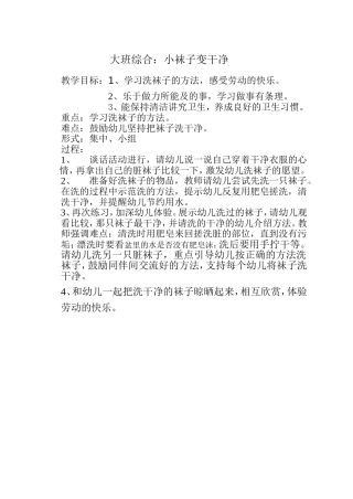 小袜子变干净文档