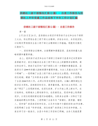 供销社三级干部情况汇报