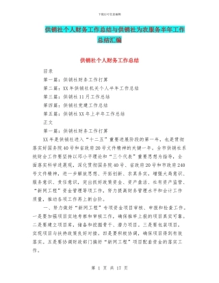 供销社个人财务工作总结与供销社为农服务半年工作总结汇编