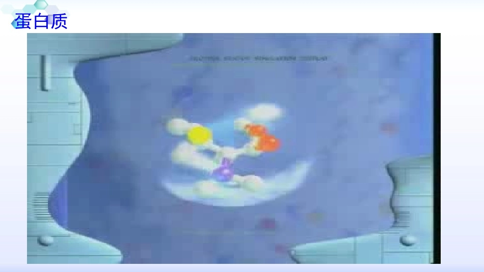 第一节食物中的营养物质_第3页