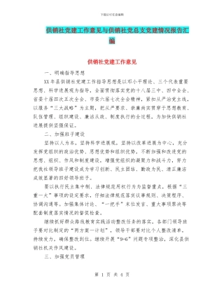 供销社党建工作意见与供销社党总支党建情况报告汇编