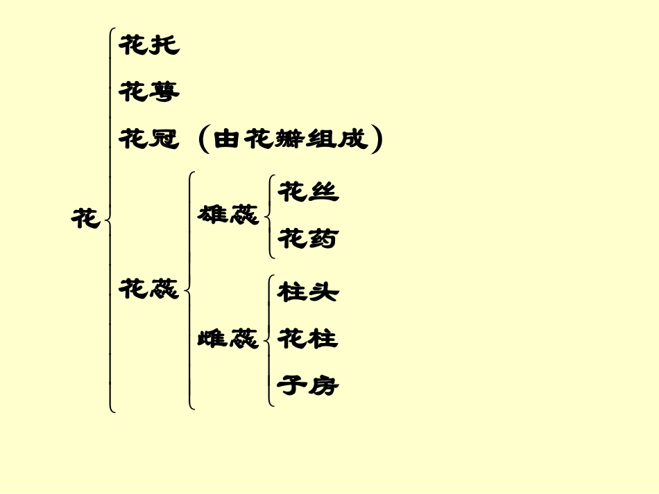 植物的个体发育_第2页