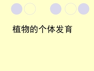 植物的个体发育