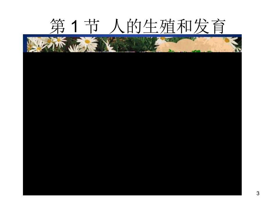 人的生殖与发育1_第3页