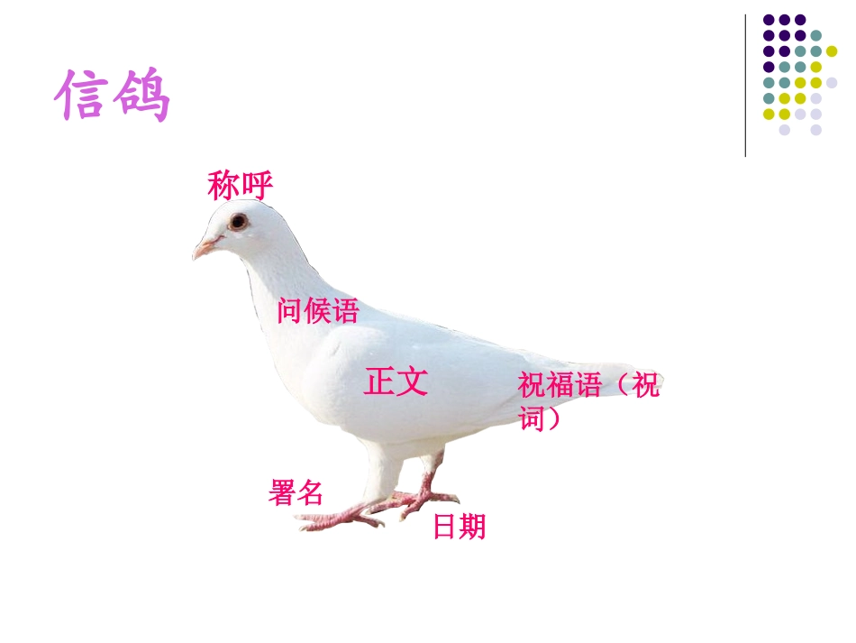三年级下册同步习作之十二-写信作文指导_第3页