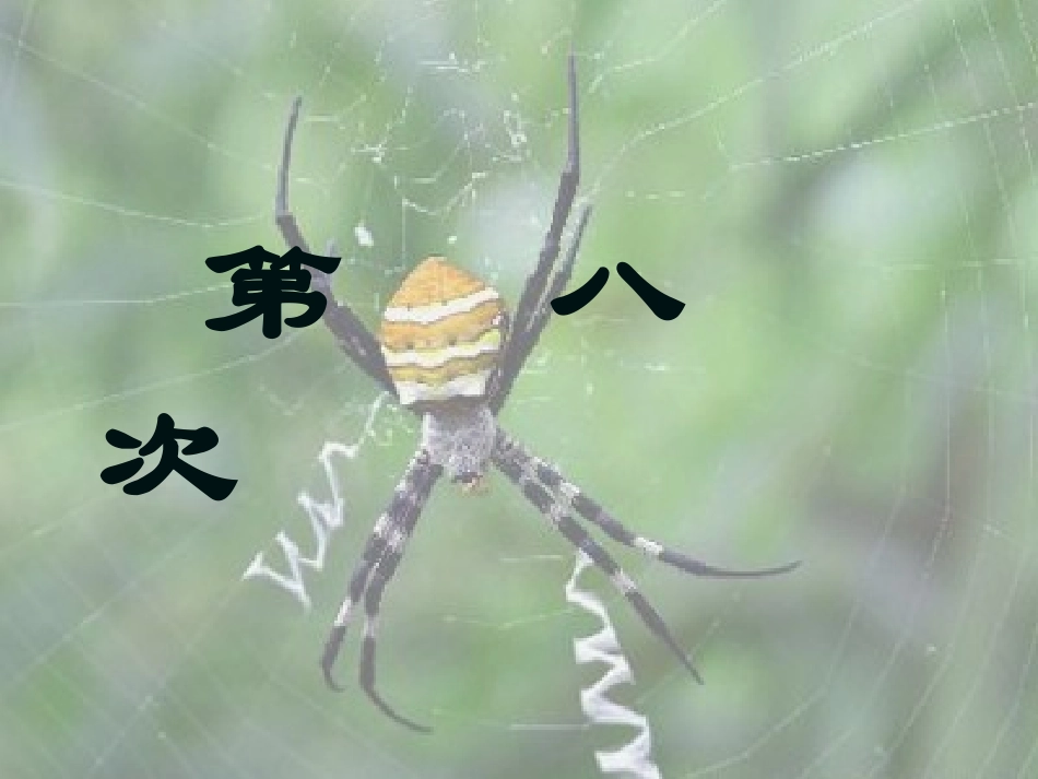 11第八次第一课时_第2页