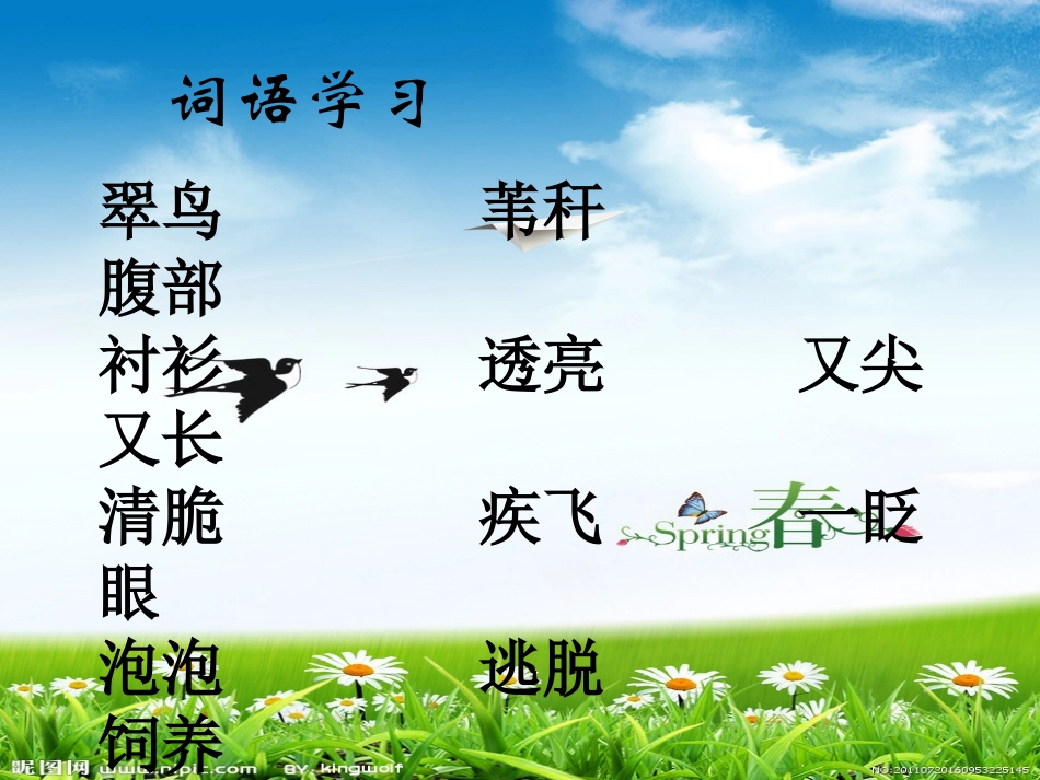 翠鸟-(2)_第2页