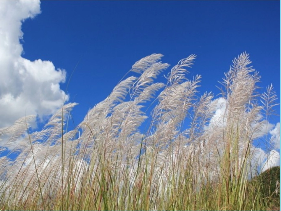 4-风的成因_第2页