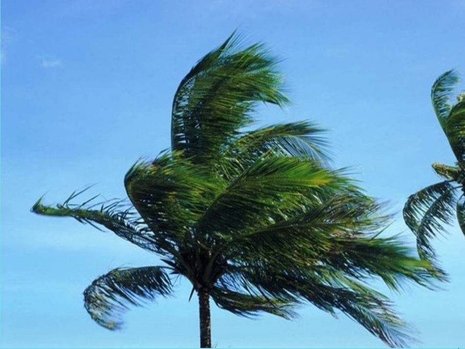 4-风的成因_第3页