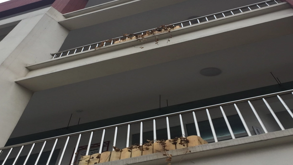 11.我是校园小主人-(2)_第2页