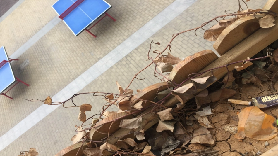 11.我是校园小主人-(2)_第3页