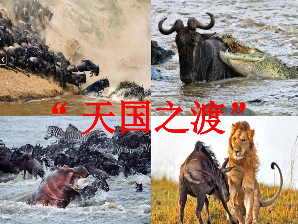 第三课傍水而居-(2)_第3页