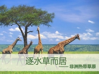 第三课傍水而居-(2)