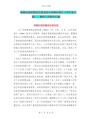 供销社组织建设自查总结与供销社统计工作汇报