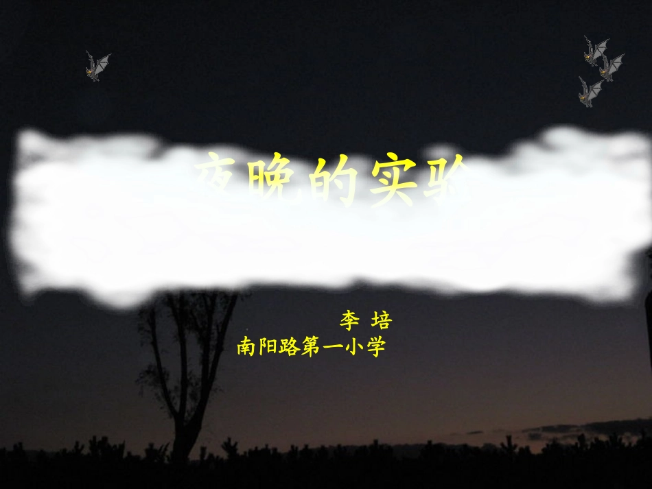 12夜晚的实验-(4)_第1页