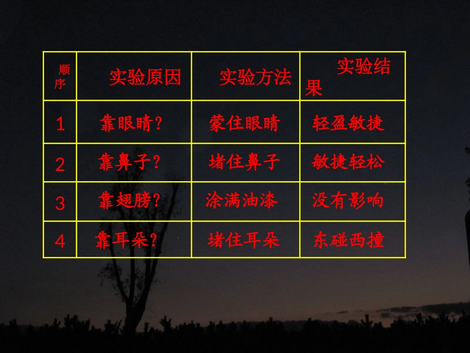 12夜晚的实验-(4)_第2页