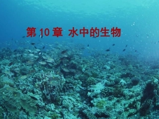 第1节水中的动物-(2)