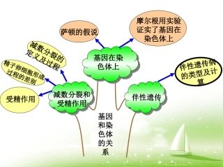 第二章知识树
