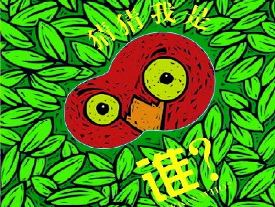 第1节地面上的植物_第1页