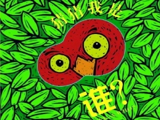 第1节地面上的植物